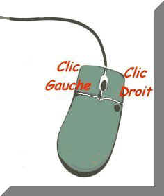 souris.jpg (7547 octets)